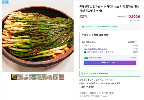 국내산 전라도 여수 파김치 1kg 13900원