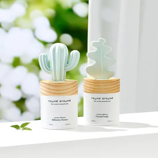 라운드어라운드 선인장 디퓨저 100ml 2종 택1