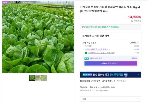 무농약 친환경 유러피안 샐러드 채소 600g
