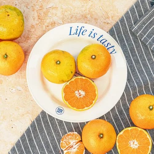 제주 감귤 4.5kg 대과