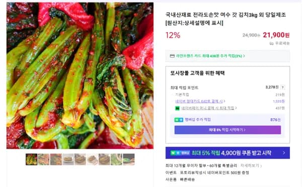 국내산 여수 갓김치 3kg