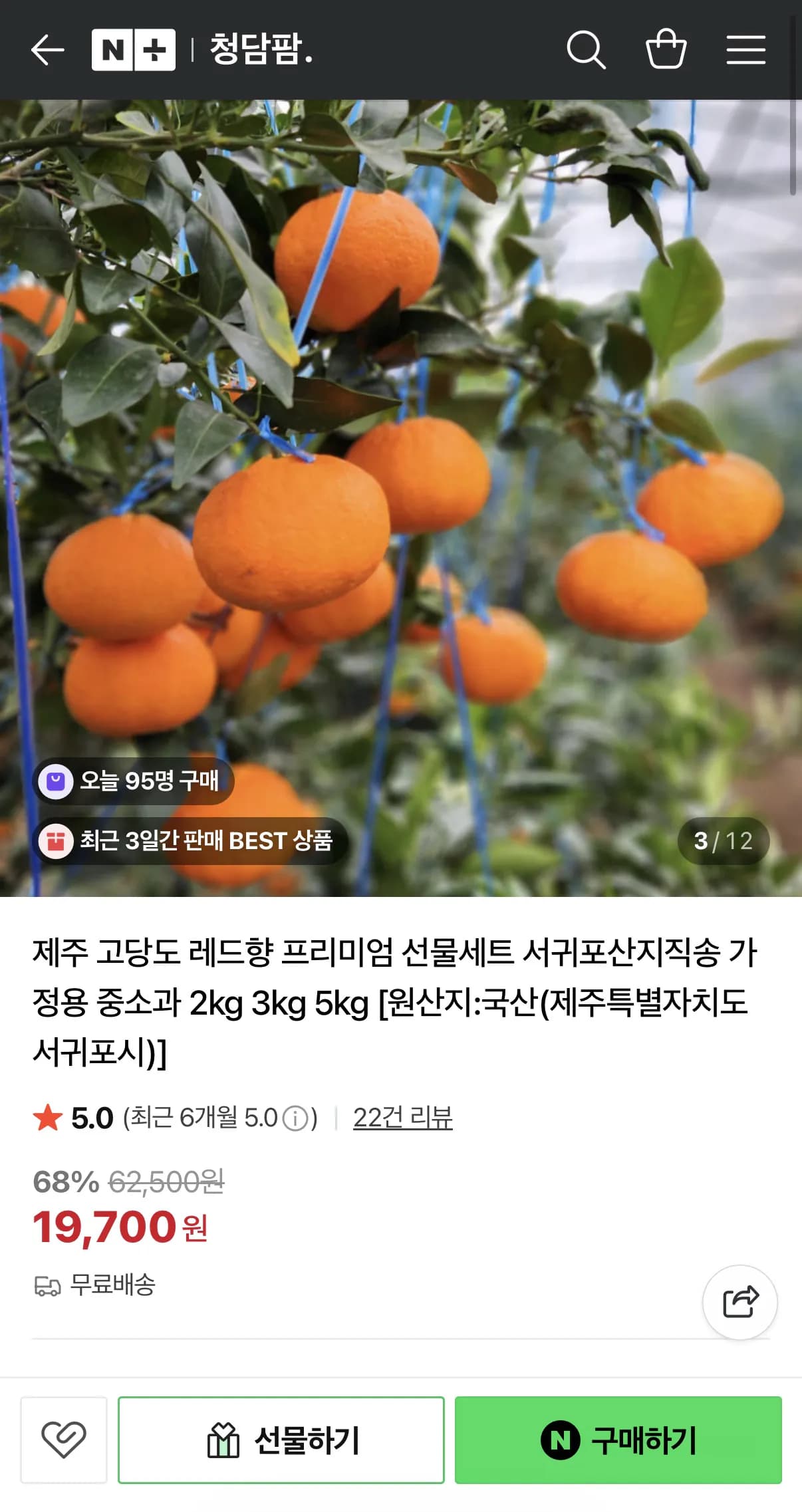 제주 레드향 중소과 2kg