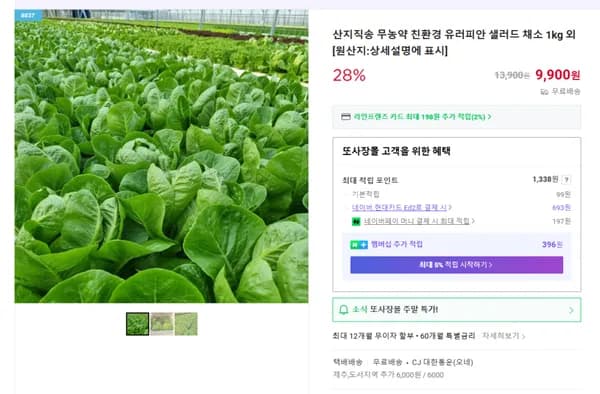 무농약 유러피안 채소 600g