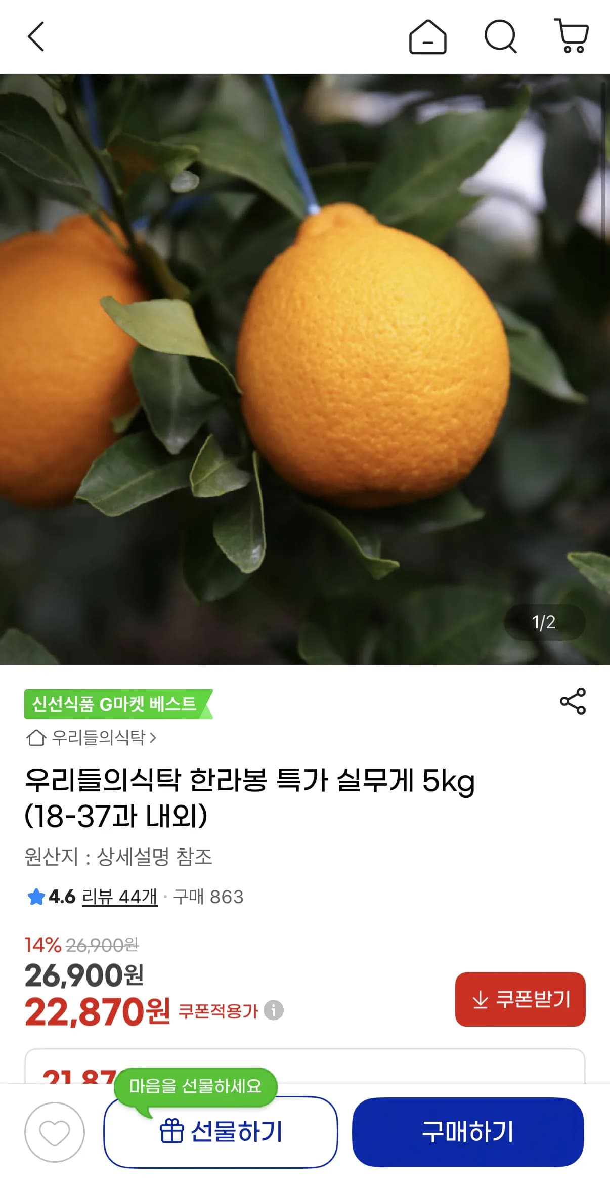 한라봉 실무게 5kg 18-37과 내외