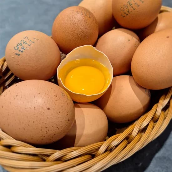 난각번호 1번 무항생제 유정란 40구 (12,870원) (무료)