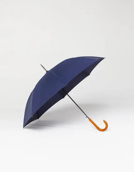 장우산 (14,800원) (무료)