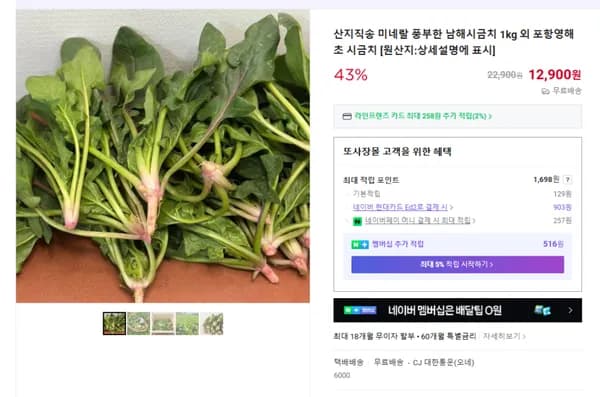 남해시금치 1kg (무배/12900원)