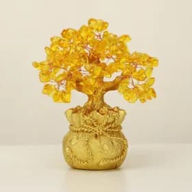 재물 복 승진 신년행운 인테리어 소품 돈나무 (9,350원/무배)