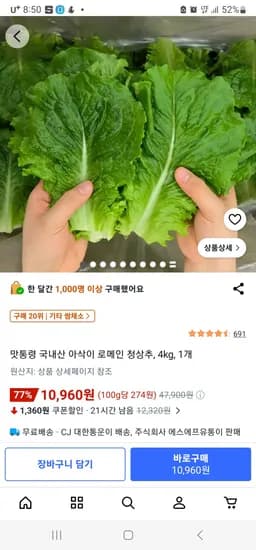 쿠팡 국내산 로메인 청상추 4kg (10,960원) (와우회원0무료)