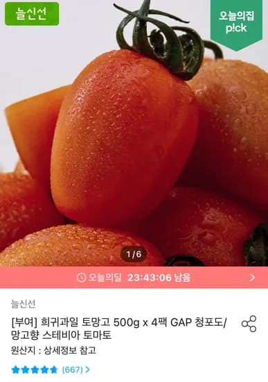 희귀과일 토망고 500g x 4팩