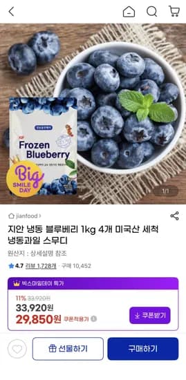 냉동 블루베리 1kg 4개 미국산