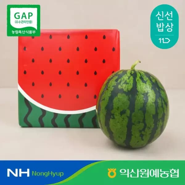 비파괴 당도 선별 고당도 꿀수박 외 8kg