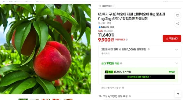 제철 신비복숭아 1kg 중소과