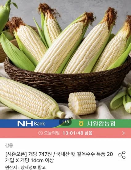 국내산 햇 찰옥수수 20개입 14cm 이상