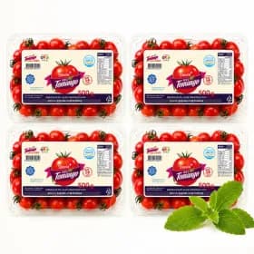 스테비아 대추 방울토망고 500g x 4팩 (9,590원/무료 배송)