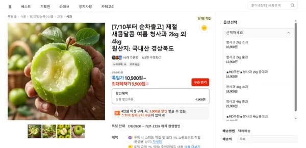 새콤달콤 제철 여름 청사과 2kg (9,900원 / 무료배송)