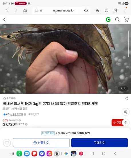 국내산 활새우 1KG (kg당 27미 내외) 특가 당일조업 흰다리새우