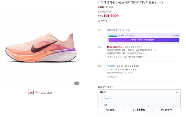 나이키 페가수스 42 W 여자 달리기 러닝화 IB1881-113