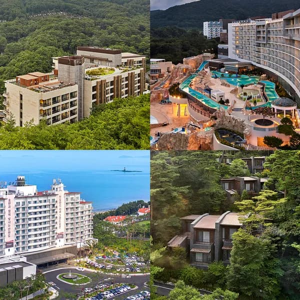 리솜 스파패키지 예산 스플라스 (217,000원~)