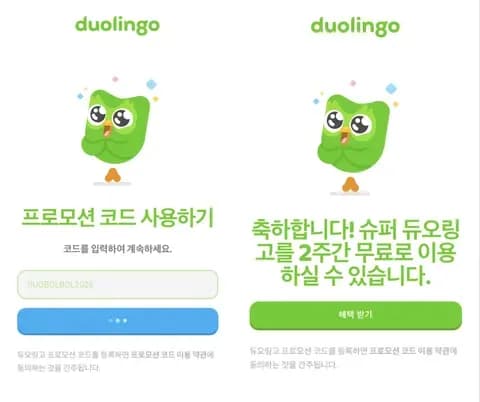 듀오링고 슈퍼 2주 이용권