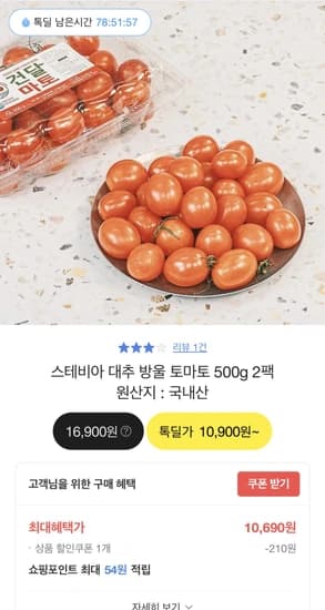 국내산 스테비아 대추 방울토마토 500g 2팩