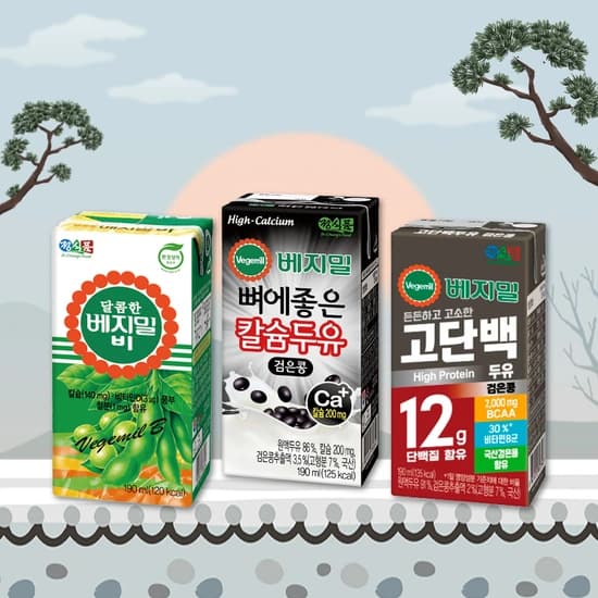 베지밀 뼈에좋은 검은콩두유 190ML 32팩