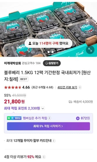 블루베리 125g 12팩 총 1.5kg