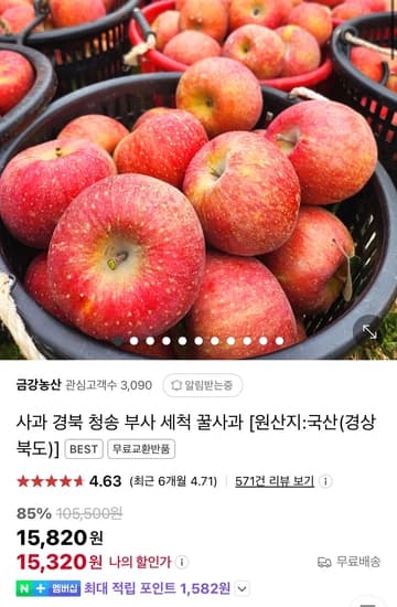 경북 청송 부사 세척 꿀사과 실속형 5kg 대과 (33,360원/무배)