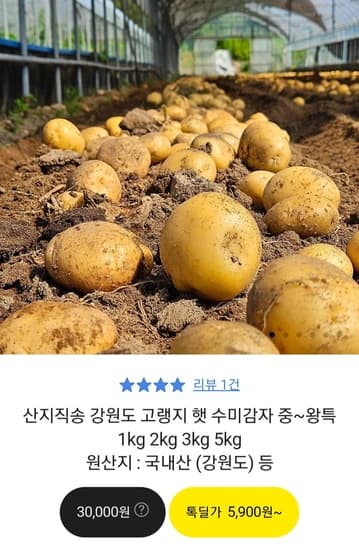 강원도 고랭지 햇 수미감자 중~왕특 1kg 2kg 3kg 5kg  (무배/5700원~)
