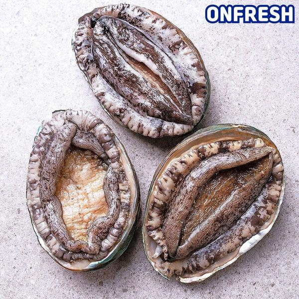 완도 활전복 1kg 10-11미 (무료배송)