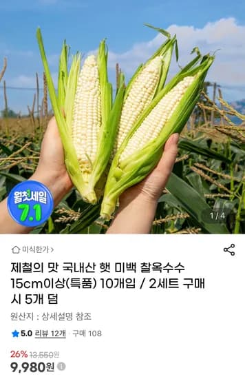 고당도 국내산 햇 미백 찰옥수수 10개