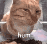 9일 오전 11시 lg 모니터 & 가전 연합라이브 안내