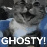 빡세일 LG 모니터 프로모션! (34WP65C 참전!) (스마트모니터 구매 시 사은품 증정!)