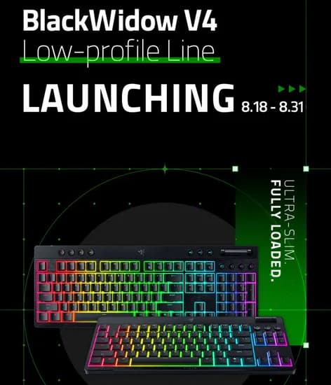 Razer BlackWidow V4 Low-profile 외 다양 1개