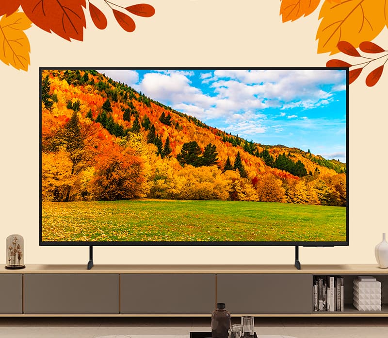 삼성 75인치 UHD TV 라이브