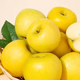 경북 황금사과 시나노골드 가정용 2kg