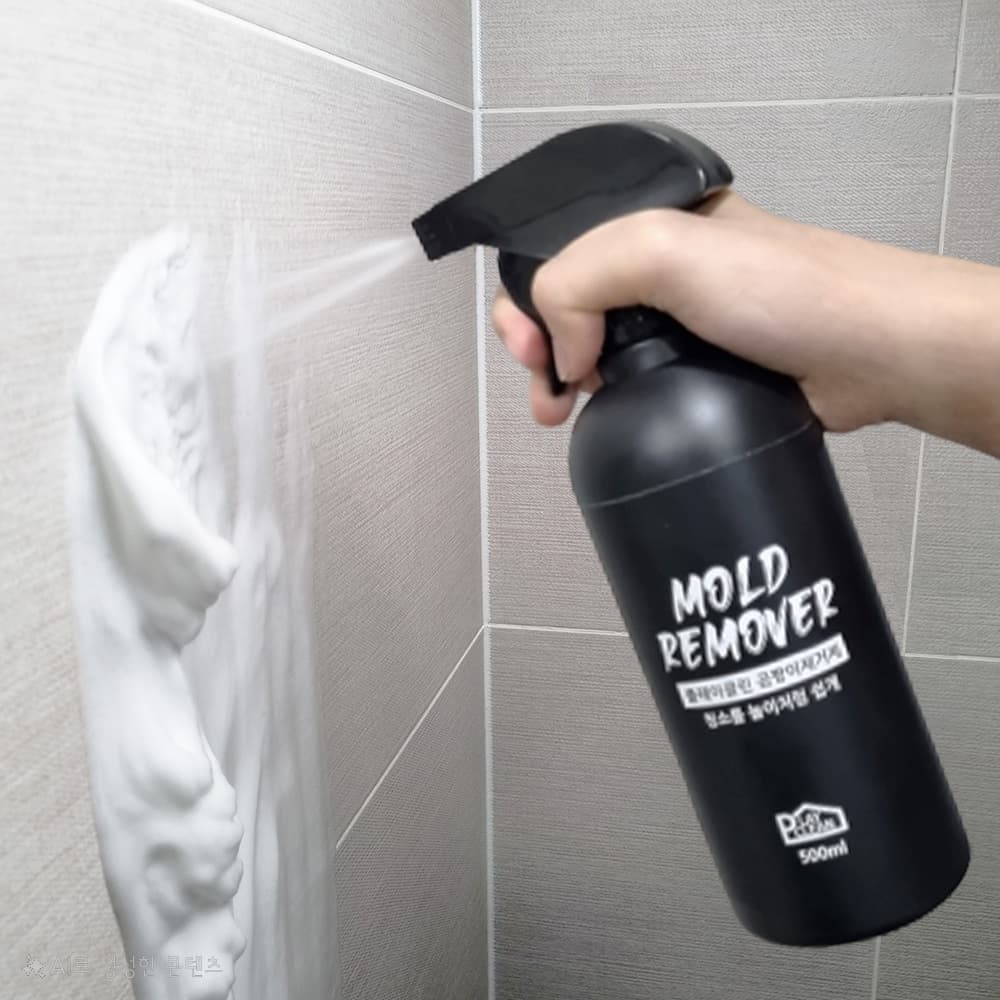 플레이클린 초강력 곰팡이 제거제 500ml 2개