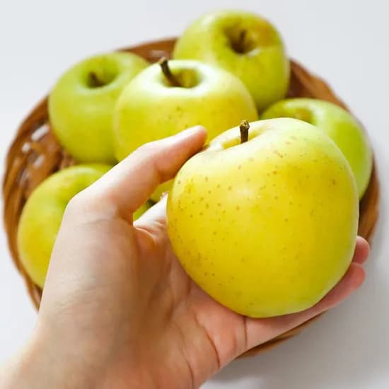 경북 청송 시나노골드 사과 황금사과 2kg 외 다양