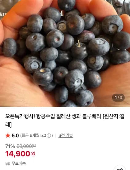 칠레산 생과 블루베리 125g 3팩