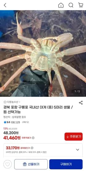 포항 구룡포 국내산 대게 (중) 5마리