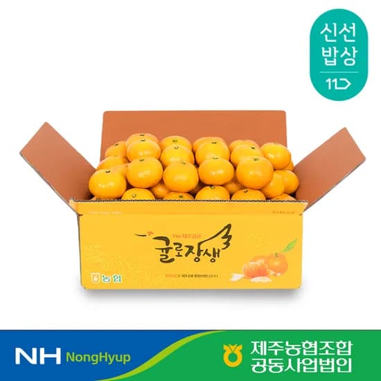 제주농협 귤로장생 귤 4.5kg