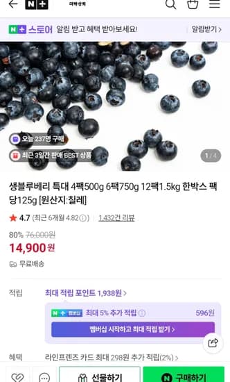 칠레산 생 블루베리 125g X 4팩 500g