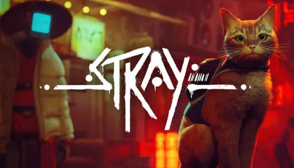 Stray 40% 할인