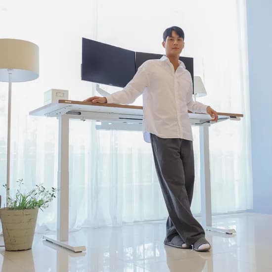 핏쳐 보쉬 듀얼모터 모션데스크 B1 1/19~1/21