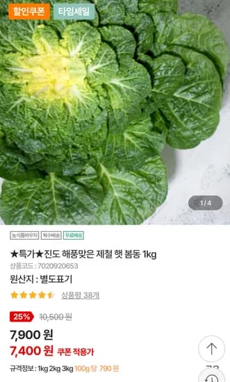 진도 해풍맞은 봄동 1kg