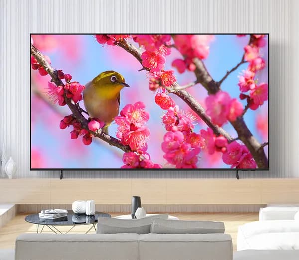 10% 카드할인! 삼성전자 75인치 라이브 특가!