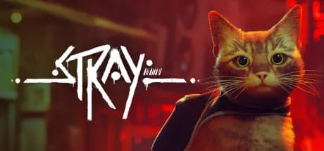 Stray 40% 할인