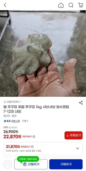 봄 주꾸미 제철 쭈꾸미 1kg 샤브샤브 암수랜덤 7-12미 내외 22,870원