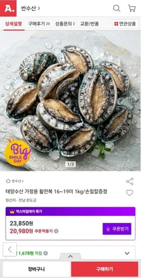 활전복 16~19미 1kg
