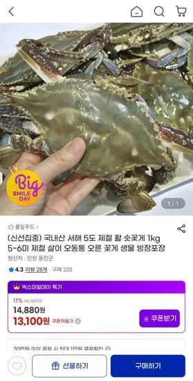 서해 5도 제철 활 숫꽃게 1kg 5~6미